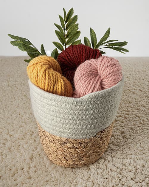 Chunky-1-1 (1)